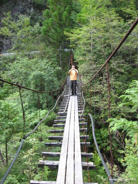 0794_Koji_on_the_bridge