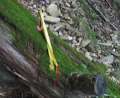 0834_Trail_mark