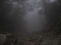 0853_Lost
