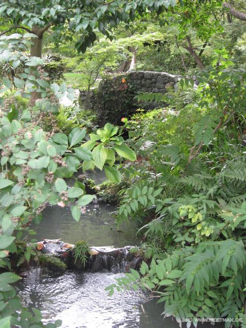 1148_Bridge