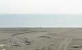 1221_Lonely_beach