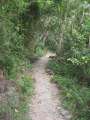 1358_Liushui-Holiu_Trail