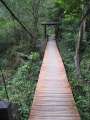 1361_Suspension_bridge