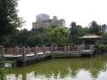1441_Zigzag_bridge