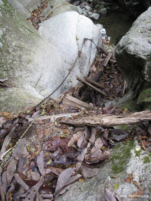 1869_Broken_stairs