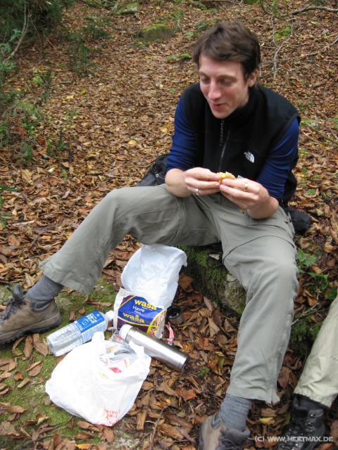 1873_Swedish_lunch