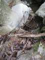 1869_Broken_stairs