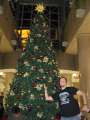 2303_Christmas_tree