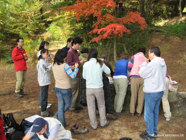 2394_Picnic