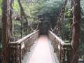 2372_Bridge