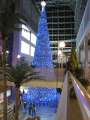 2436_Christmas