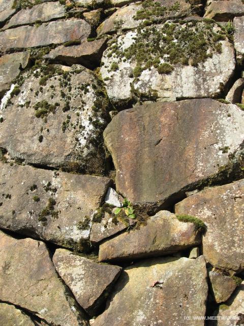 2943_Wall
