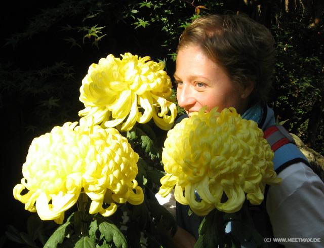 2983_Flowers