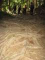 2974_Root_route