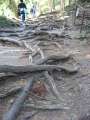 2975_Root_route