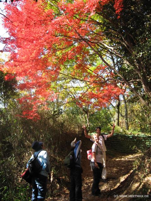 3087_Autumn_colors