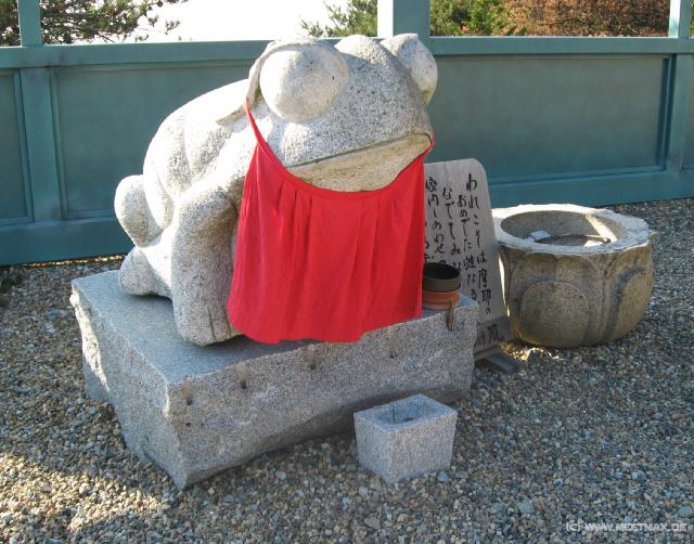 3142_Hungry_frog