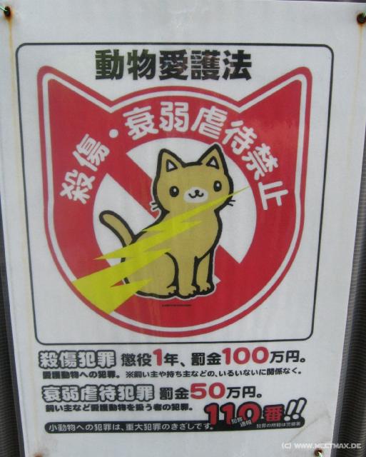 3175_Don't_bully_your_pets