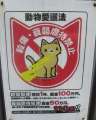 3175_Don't_bully_your_pets