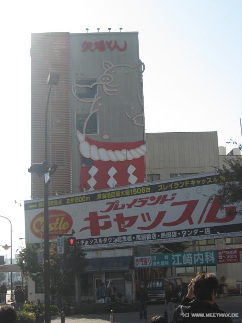 3284_Big_pig