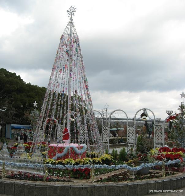 4259_PET_Christmas_tree