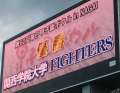 4249_The_Fighters_win