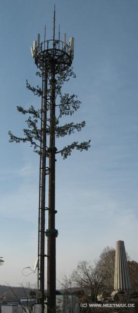 4331_Maibaum