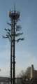 4331_Maibaum