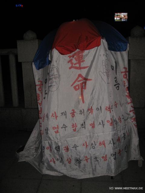 4517_Fortuneteller