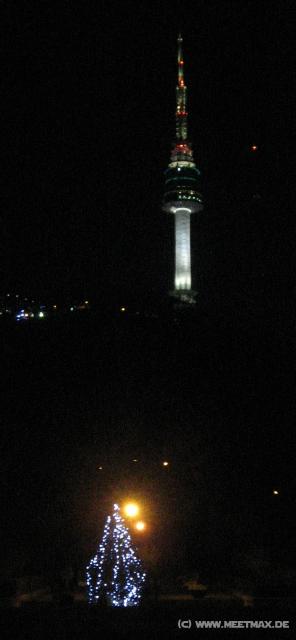 4560_Tree_and_N_Seoul_Tower