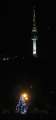 4560_Tree_and_N_Seoul_Tower