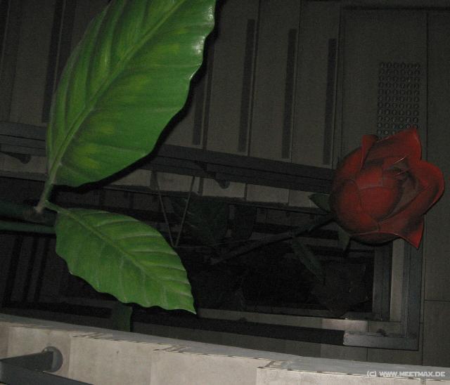 4675_Giant_rose
