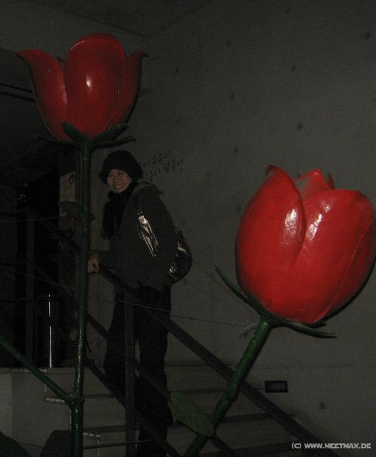 4676_Miseon_roses