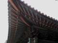 4601_Roof