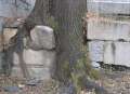 4613_Powerful_tree