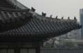 4614_Changgyeonggung_Palace