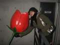 4675_Miseon's_rose