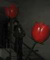 4676_Miseon_roses