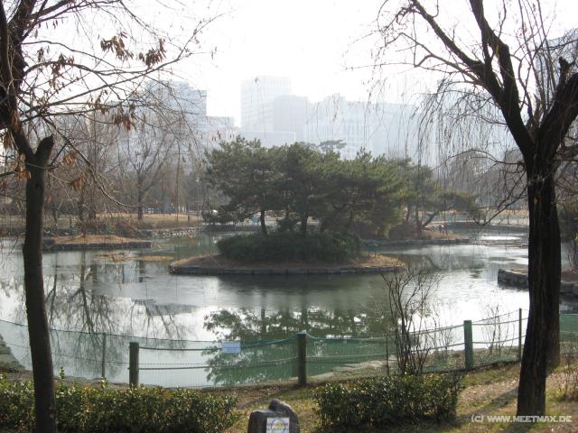 4762_Yeouido_Park