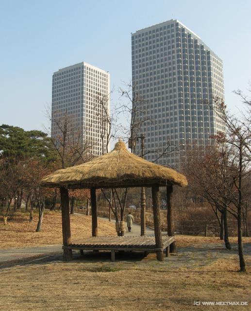 4763_Yeouido_Park