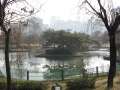 4762_Yeouido_Park