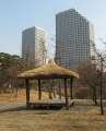 4763_Yeouido_Park