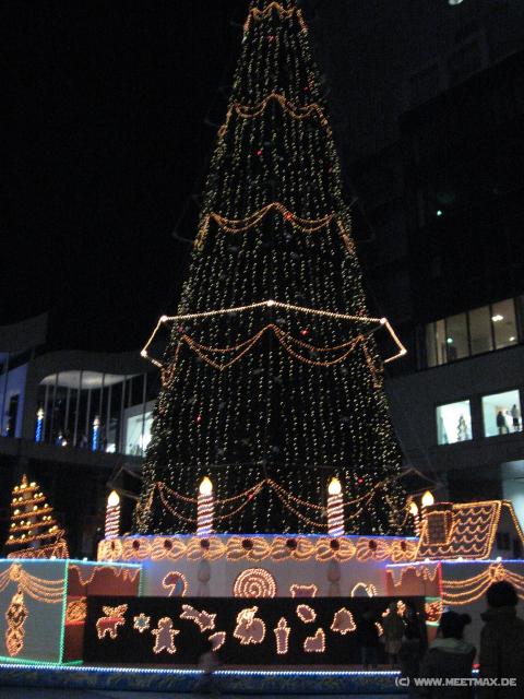 4026_Weihnachtsbaum