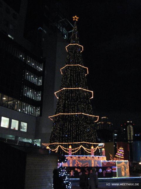 4030_Weihnachtsbaum