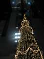 3028_Umeda_Sky_Building_Tree
