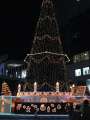 4026_Weihnachtsbaum