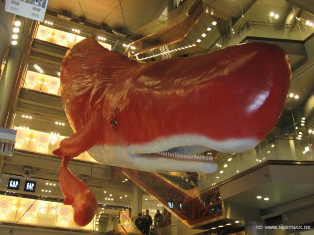 3644_Hep5_Whales