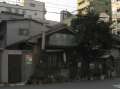 4949_Little_house