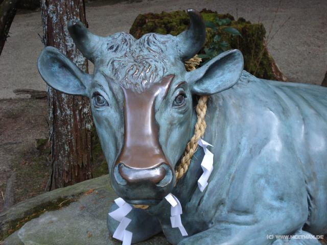 5023