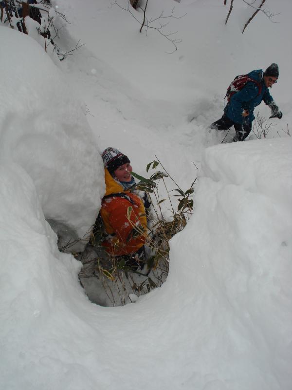 3453_Shortcut